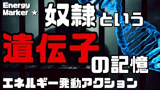 DNA！奴隷スイッチを解除した先の世界！#DNA #遺伝子