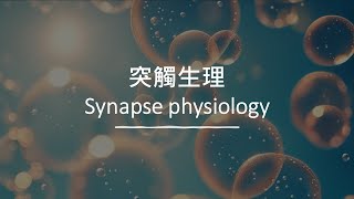 腦與計算 -- L3-2-2 Synapse physiology (突觸生理)