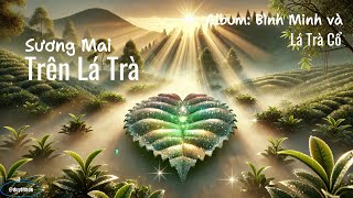 Sương Mai Trên Lá Trà (Cafe Music of Sacred Ancient Tea) Album: Bình Minh và Lá Trà Cổ [Original]