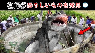 漁師たちは偶然奇妙な生き物を捕まえてしまい、村人たちは恐怖に陥りました。 ビーチで見つけた最も驚くべき発見 10 選!#カメラ #神秘 #动物 #生き物 #top #top10 #世界 #世界一