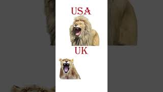 USA vs UK comparison Part 2 #shorts #london #teluguvlogs #namastelondontelugu