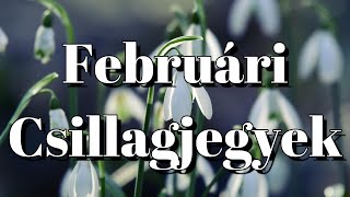 Februári Csillagjegyek [Tarot Kártya]