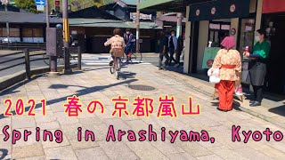 春の京都嵐山の風景🌱 Spring in Arashiyama, Kyoto😉2021年4月11日