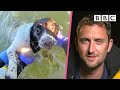 Rescuing Molly the Springer Spaniel 🐶 | Saving Lives at Sea - BBC