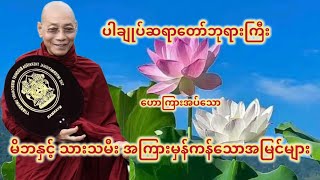 မိဘနှင့် သားသမီး အကြားမှန်ကန်သောအမြင်များ တရားတော် (ပါချုပ်ဆရာတော်ဘုရားကြီး)