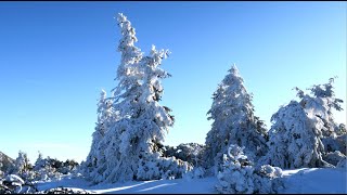 Karpacz (Poland) Searching for Snow