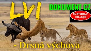 48 LVI - Drsná výchova (DOKUMENT - Predátoři zblízka)