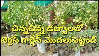 చిన్నచిన్న డబ్బాలతో టెర్రస్ గార్డెన్ మొదలుపెట్టండి| how to start terrace garden at home esely