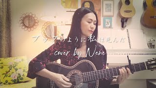 ブッダのように私は死んだ - 坂本冬美 ★ cover by Nene