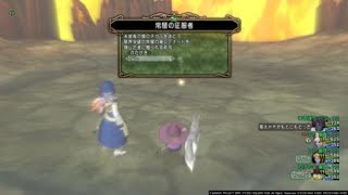 ドラクエ10　レグナード５　魔法視点