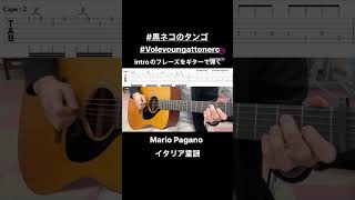 #黒猫のタンゴ #ギター #弾いてみた #tab #guitar #guitarcover #アコギ #何弾いてよ対策