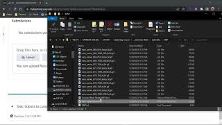 Brightspace: Submitting Multiple Assignment Files