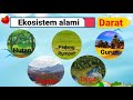 Kelas 5. Tema 5 Ekosistem. Subtema 1(Komponen Ekosistem) Muatan Pelajaran:IPA