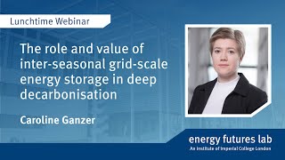 Webinar: The role and value of inter-seasonal grid-scale energy storage in deep decarbonisation