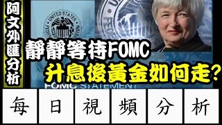 2017.3.15 阿文外匯分析 等待凌晨FOMC利率決議 升息後黃金如何表態? l 外匯教學,外匯投資,外匯入門,外匯交易,K線圖分析 l 外汇教学,外汇投资,外汇入门,外汇交易,K线图分析