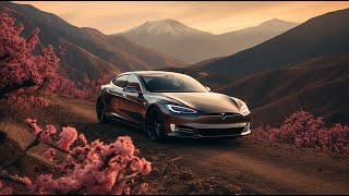 Tesla Model S vs PORSCHE, BMW, LEXUS, AUDI, LUCID