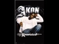 Akon Party Animal Prod By David Guetta New 2010