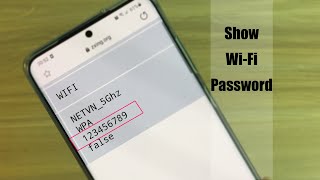 How to show Wi-Fi Password using your Phone | NETVN