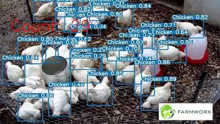 ChickTrack - Artificial Intelligence Tool for detection, counting and tracking Chickens