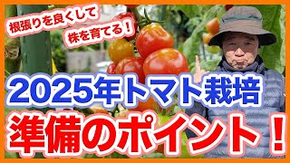 家庭菜園や農園のトマト栽培2025年シーズンスタート！栽培準備ポイントとトマトの育て方！【農家直伝】