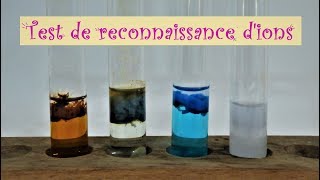 Tests de reconnaissance d'ions - Cycle 4 - TP Physique-Chimie