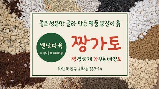 {별난다육} 다육이를 위한 명품 분갈이흙 짱가토!!! + 다육이 부자재