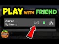 How To Play Multiplayer on Minecraft 2024 (Android IOS Windows PS5 XBOX)