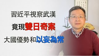 习近平亲临一线，天有二日？大国体制的优势、和另些人的“以妄为常”（字幕20200311第716期）