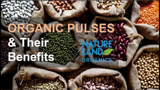 Desi Hand-pounded Organic Pulses - Is Organic Food Really Healthy? | Best Organic Food Online Store