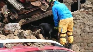 台中平房疑因大雨地震倒塌 獨居婦就醫躲過一劫