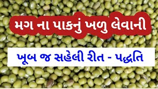 મગ ના પાકનું ખળુ લેવાની ખૂબ જ સહેલી રીત - પદ્ધતિ | મગનું હાર્વેસ્ટીંગ | khedut ni kheti |