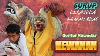 KEWANAN SURUP GEDEN !! GUNTUR KAWEDAR PETIREJO | LIVE KECAMATAN NGADIREJO TEMANGGUNG