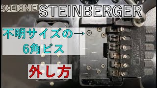 Steinberger Trans-Trem 「不明サイズのビスの外し方」