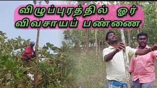 விழுப்புரத்தில் வேலை ஆரம்பம்😎| ஒரு ஏக்கர்🌴|@Goindiagreen #agriculture #farming #land #development