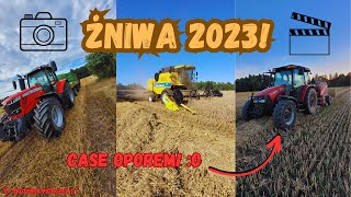 |Żniwa 2023|GR Gajowy|Massey Ferguson| Case|Newholland|Zbiór bel na 3 przyczepy!