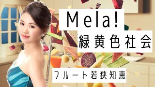 【フルート】Mela!/緑黄色社会【演奏してみた】