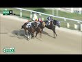 busan 2024.06.28 r8 class 2 1200m handicap