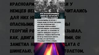 Чего КРАСНОАРМЕЙЦЫ никогда НЕ БРАЛИ у немцев в виде трофеев?