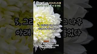 오늘의3분큐티QT 20240520 2번영상