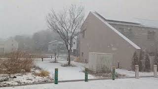 기습폭설 쏟아지는 아름다운 설국의 전원마을 So beautiful surprising heavy snow falling on rural town village