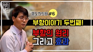 [영도한의원] 부항의 원리와 효과는 어디까지 일까?  최유행원장이 전해주는 부항이야기 두번째!