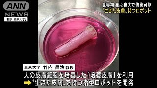 世界初！“生きた”皮膚で覆われた指型ロボット開発　傷も自力で修復可能(2022年6月10日)