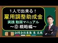 0概略編　雇用調整助成金【動画】申請マニュアル