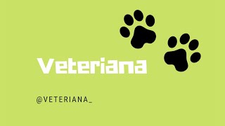 Live: Residência Veterinária - Clínica e Manejo de Animais Selvagens