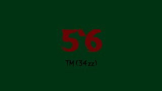 #34zz TM - 5’6 (Official Audio)