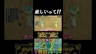 【ポケモンSV】またまた色違いツタージャ♀が出現!! やっぱり超低確率の♀色証厳選は厳しいのか…!?【切り抜き】【色違いポケモン】【色違い厳選】#shorts