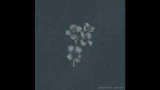 Joel Ansett - Toward the Pain (Official Audio & Artwork)