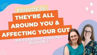 They're All Around You & Affecting Your Gut! - IBS Freedom Podcast #158