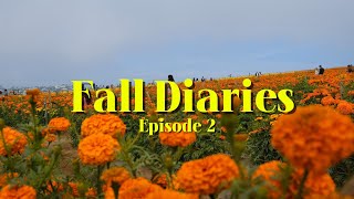 Fall Diaries Ep 2: San Diego, Porter Robinson, LB Marathon, minigolf, food, etc.