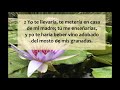 la biblia hablada cantares 5 8